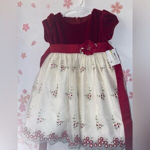 Cinderella Burgundy Velvet Holiday Dress w/ Embroidered Skirt – Girls 24M